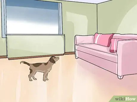 Image titled Care for a Recently Rehomed Dog Step 8