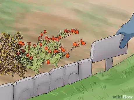 Image titled Design a Desert Garden Step 15