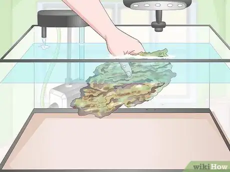 Image titled Start a Saltwater Reef Tank Step 15