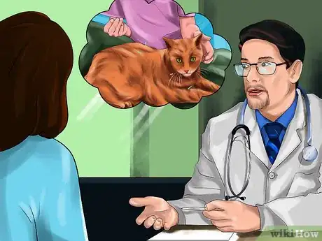 Image titled Treat a Cat with Acupuncture Step 6