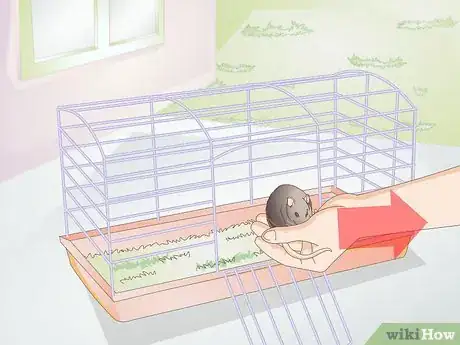 Image titled Clean a Small Pet Cage Step 4