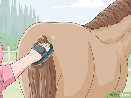 Image titled Clean a Horse Step 3