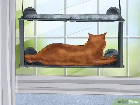 Image titled Help Your Cat Age Well Step 11
