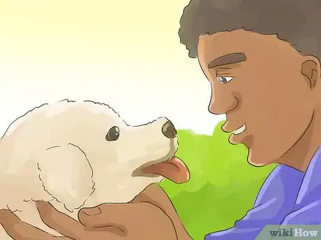 Image titled Help Your Dog Live Longer Step 18