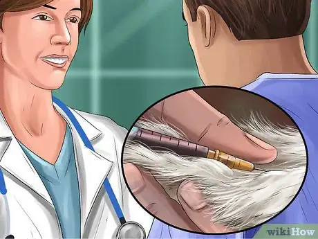 Image titled Know if Your Cat Needs Gluten‐Free Food Step 7