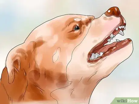 Image titled Tell if a Dog Is Getting Food Aggression Step 3