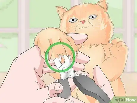 Image titled Keep Your Cat Clean Step 19