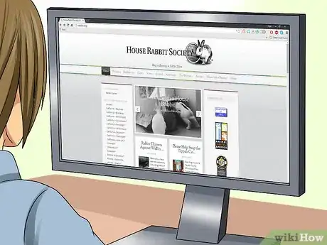 Image titled Adopt a Rabbit from a Shelter Step 2