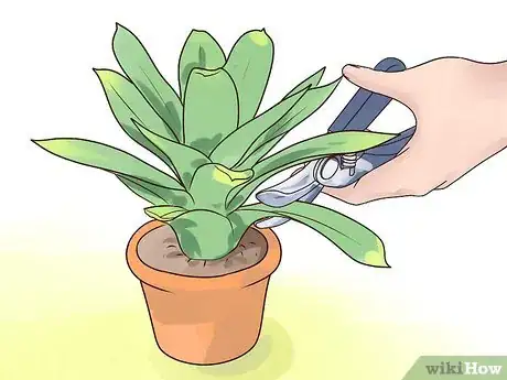 Image titled Rejuvenate an Overgrown Houseplant Step 11