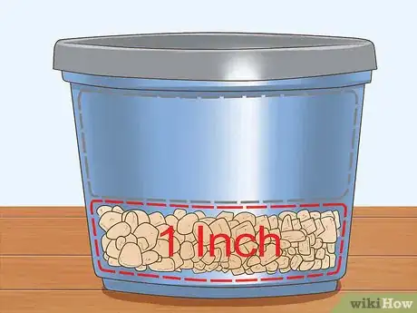 Image titled Grow a Miniature Succulent Garden Step 5