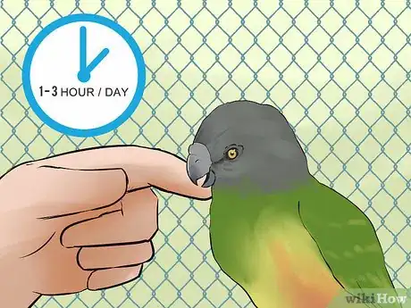 Image titled Care for a Senegal Parrot Step 11