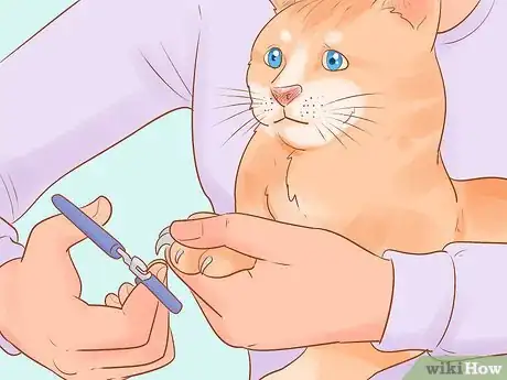 Image titled Make Daily Life Easier for a Mobility‐Impaired Cat Step 8