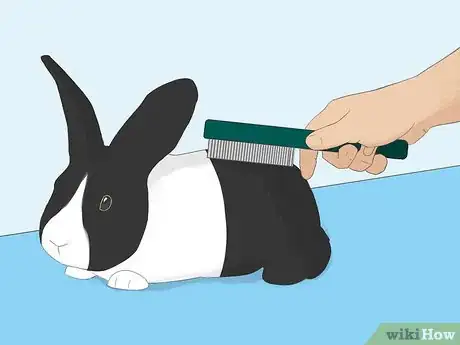 Image titled Bathe Your Pet Rabbit Step 13