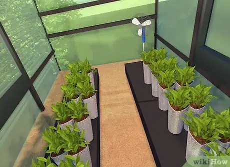 Image titled Maintain a Greenhouse Step 7