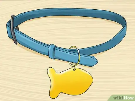 Image titled Take Care of a Ragamuffin Cat Step 4