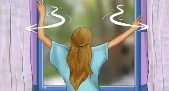 Get Dog Smell Out of the Carpet