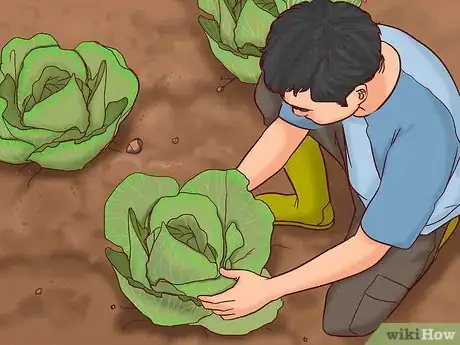 Image titled Travel for Free Step 21