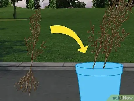 Image titled Plant a Beech Hedge Step 11