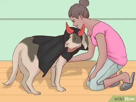 Image titled Keep Your Dog Safe on Halloween Step 6