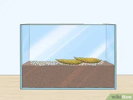 Image titled Grow Blood Worms Step 6