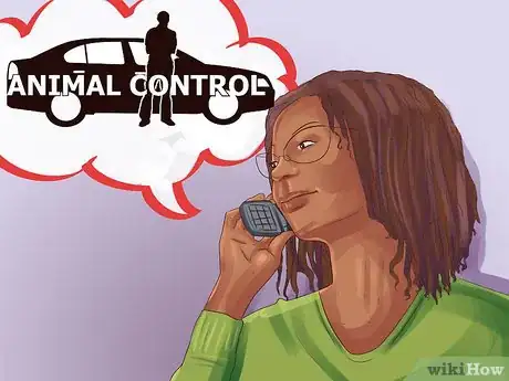 Image titled Get a Dog Out of a Busy Road Step 13