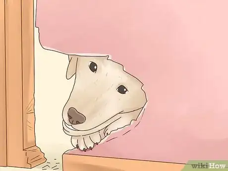 Image titled Recognize Signs of Anxiety in Dogs Step 15