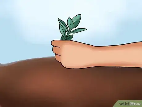 Image titled Care for Azaleas Step 5