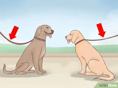 Image titled Choose a Second Dog Step 12