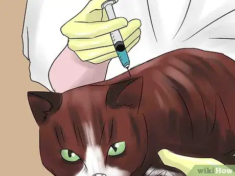 Image titled Treat Chronic Vomiting in Cats Step 13