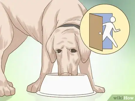 Image titled Get a Dog to Eat Step 15