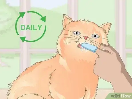 Image titled Keep Your Cat Clean Step 8