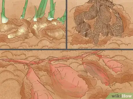 Image titled Regrow Vegetables Step 19