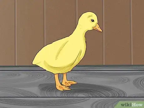 Image titled Keep Geese Step 2