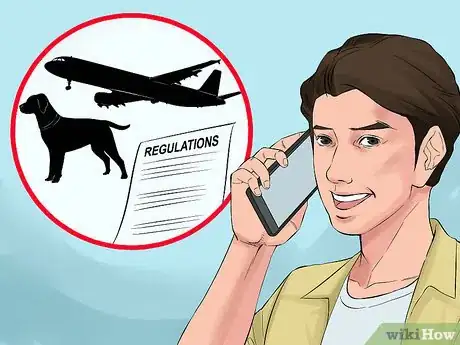 Image titled Bring a Dog to the Country of Panama Step 6