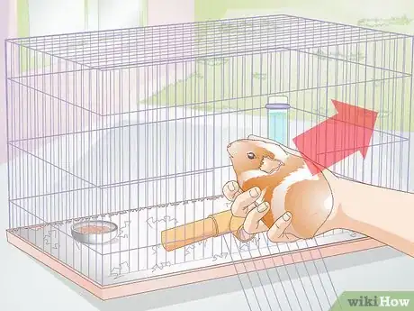 Image titled Clean Out a Guinea Pig's Hutch Step 2