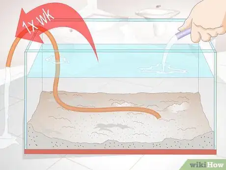 Image titled Cure Red Slime Algae in Marine Aquariums Step 11