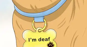 Use Hand Signals to Train a Dog that is Deaf