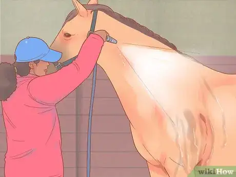 Image titled Groom a Horse for a Show Step 1