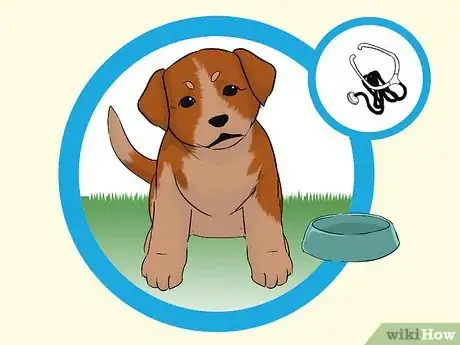 Image titled Add a Puppy to the Family Whilst Your Dog Is Pregnant Step 1