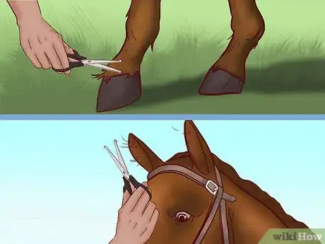 Image titled Compete in an English Pleasure Class Step 9