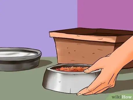 Image titled Take Care of Your Aging Cat Step 3