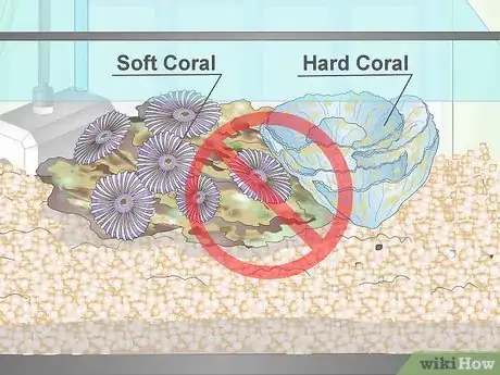 Image titled Start a Saltwater Reef Tank Step 21