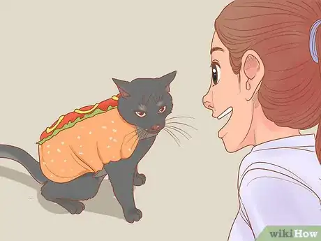 Image titled Keep Cats Safe on Halloween Step 7