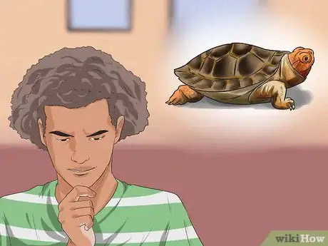 Image titled Buy a Turtle Step 14