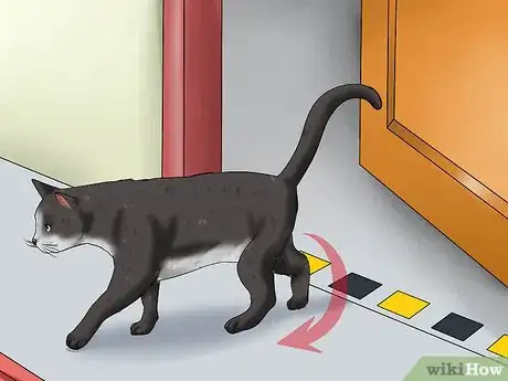 Image titled Prepare Your Cat for a New Baby Step 13