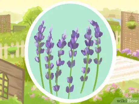 Image titled Plant a Deer‐Resistant Garden Step 17