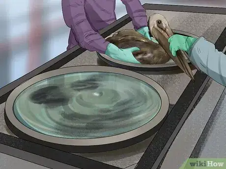Image titled Clean Oil off Birds Step 5