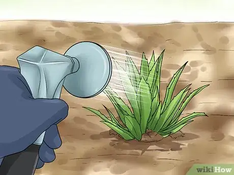 Image titled Grow Great Herbs Step 22