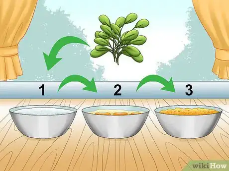 Image titled Eat Purslane Step 10