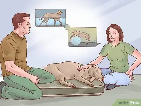 Image titled Help Your Dog Through Physical Therapy Step 5